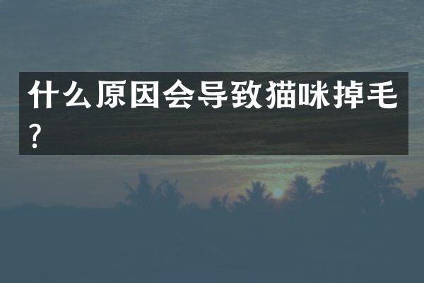什么原因会导致猫咪掉毛？