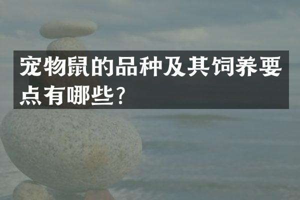 宠物鼠的品种及其饲养要点有哪些？