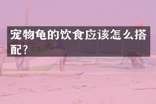 宠物龟的饮食应该怎么搭配？