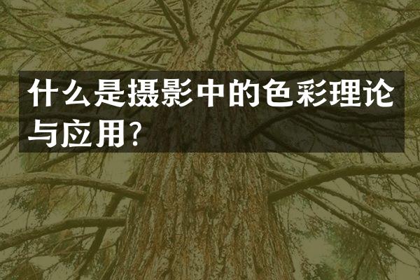 什么是摄影中的色彩理论与应用？