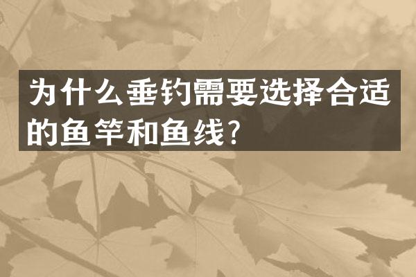为什么垂钓需要选择合适的鱼竿和鱼线？