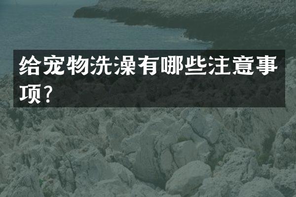 给宠物洗澡有哪些注意事项？