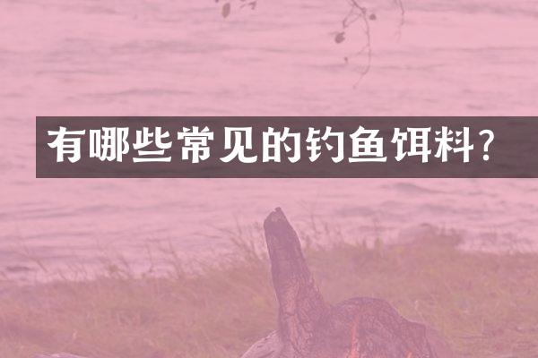有哪些常见的钓鱼饵料？