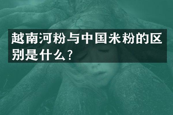 越南河粉与中国米粉的区别是什么？