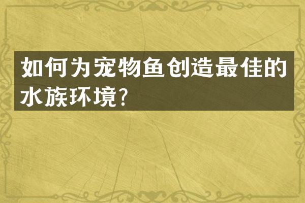 如何为宠物鱼创造最佳的水族环境？