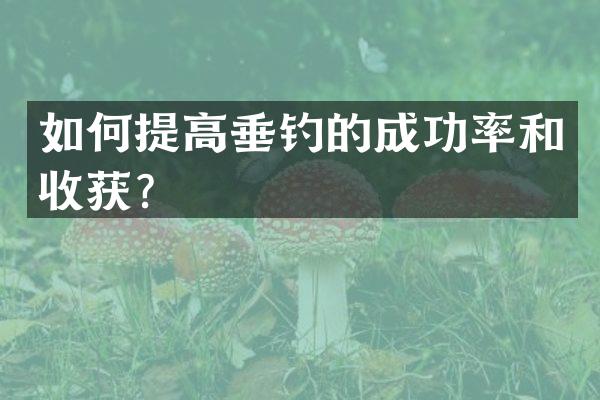 如何提高垂钓的成功率和收获？