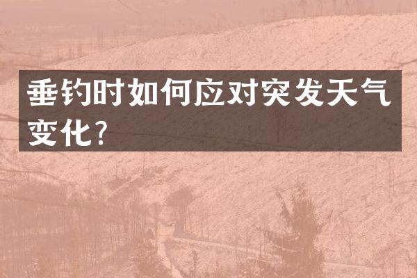 垂钓时如何应对突发天气变化？