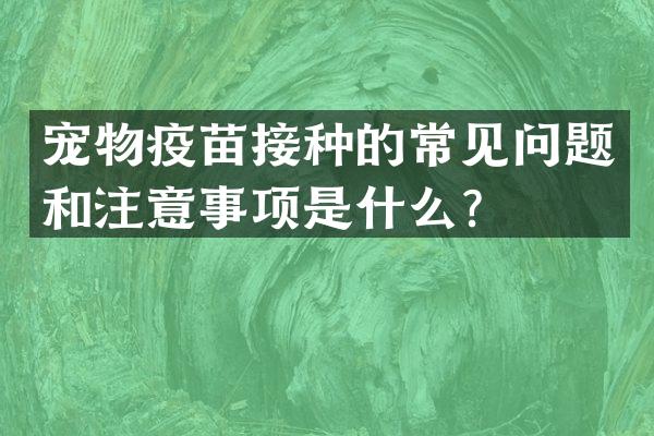 宠物疫苗接种的常见问题和注意事项是什么？