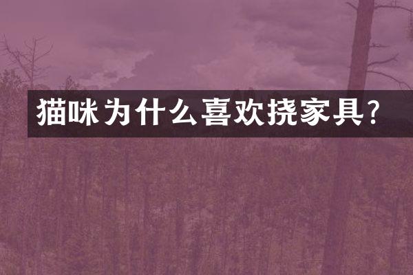 猫咪为什么喜欢挠家具？
