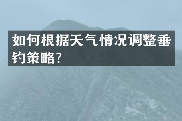 如何根据天气情况调整垂钓策略？
