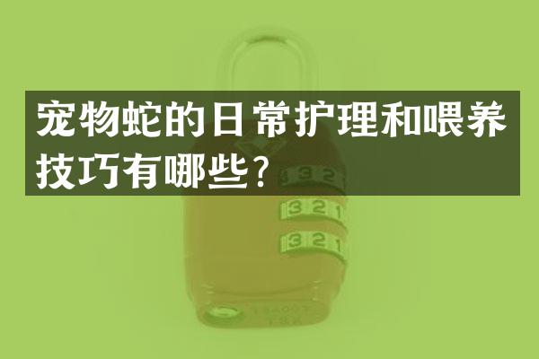 宠物蛇的日常护理和喂养技巧有哪些？