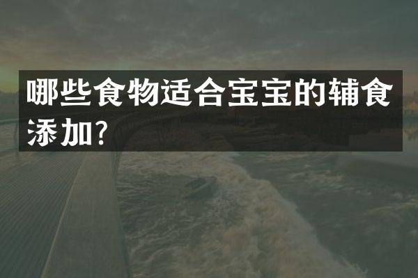 哪些食物适合宝宝的辅食添加？