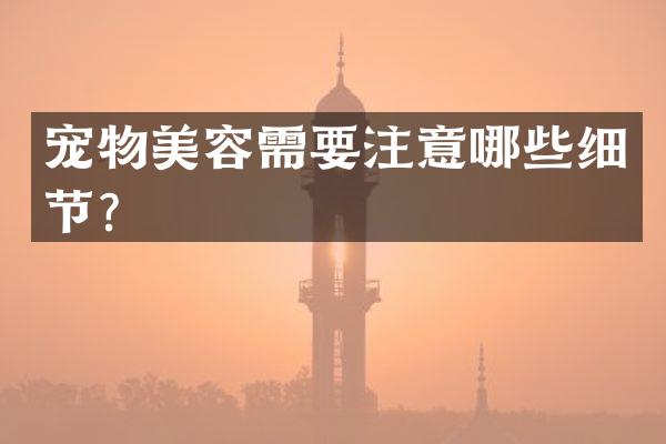 宠物美容需要注意哪些细节？