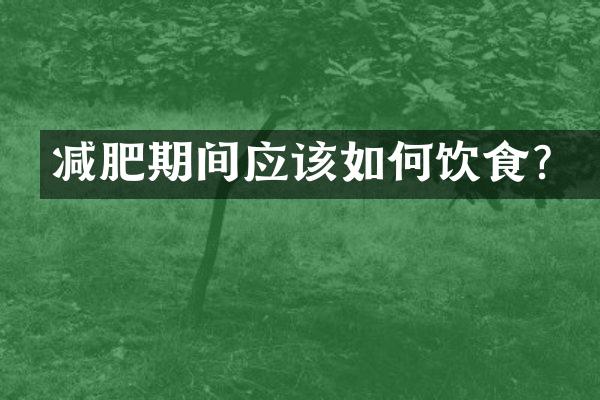 减肥期间应该如何饮食？