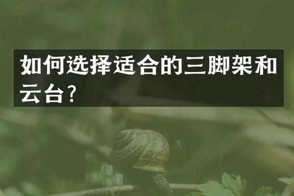 如何选择适合的三脚架和云台？
