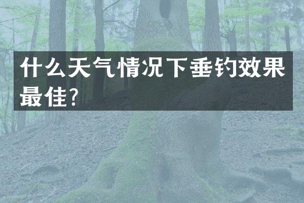 什么天气情况下垂钓效果最佳？