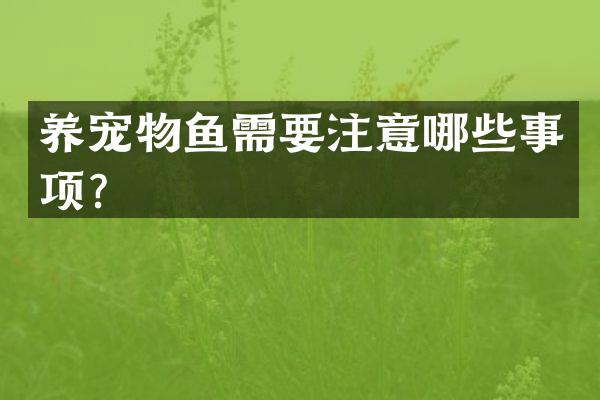 养宠物鱼需要注意哪些事项？