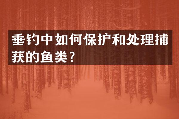 垂钓中如何保护和处理捕获的鱼类？