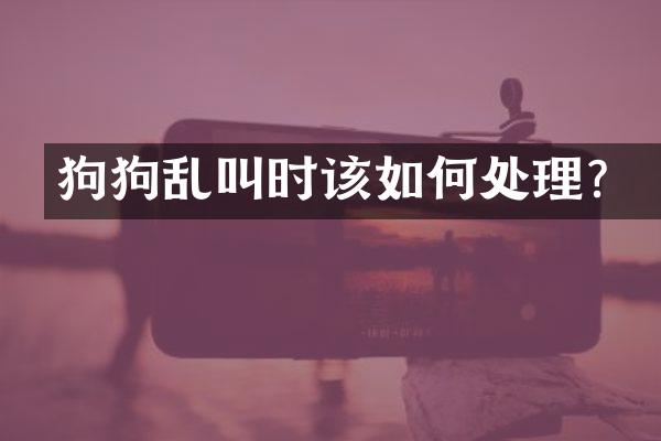 狗狗乱叫时该如何处理？