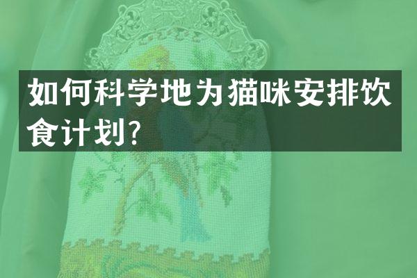 如何科学地为猫咪安排饮食计划？