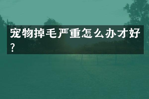 宠物掉毛严重怎么办才好？