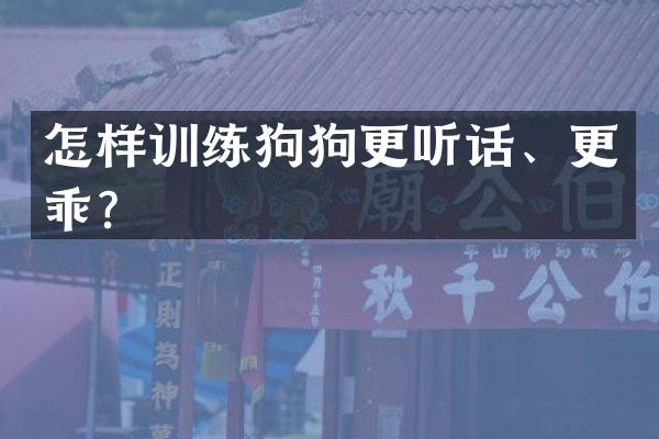 怎样训练狗狗更听话、更乖？