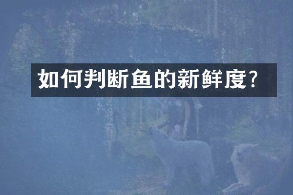 如何判断鱼的新鲜度？