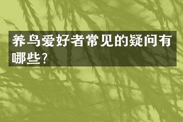 养鸟爱好者常见的疑问有哪些？