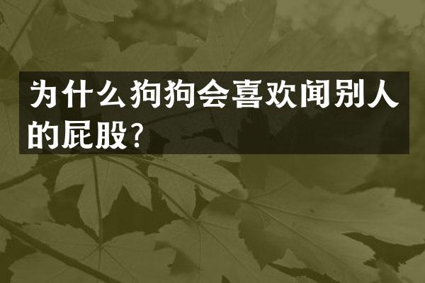 为什么狗狗会喜欢闻别人的屁股？