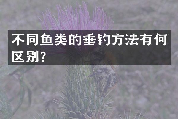 不同鱼类的垂钓方法有何区别？