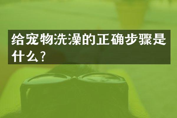 给宠物洗澡的正确步骤是什么？