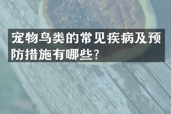 宠物鸟类的常见疾病及预防措施有哪些？