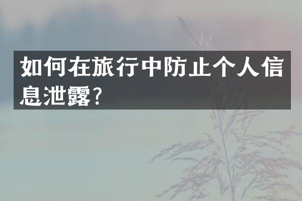 如何在旅行中防止个人信息泄露？