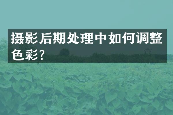 摄影后期处理中如何调整色彩？