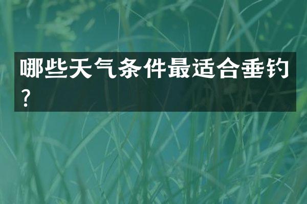 哪些天气条件最适合垂钓？