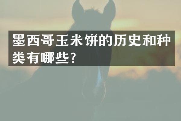 墨西哥玉米饼的历史和种类有哪些？
