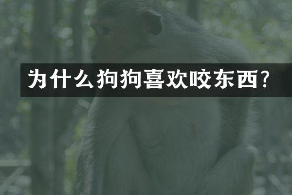 为什么狗狗喜欢咬东西？