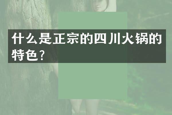 什么是正宗的四川火锅的特色？
