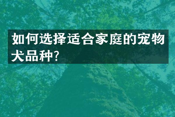 如何选择适合家庭的宠物犬品种？