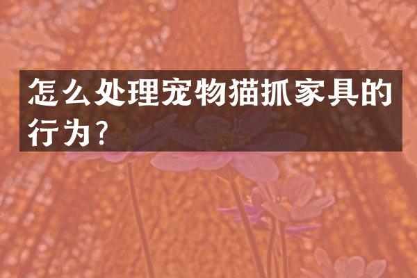 怎么处理宠物猫抓家具的行为？