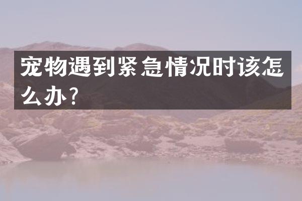 宠物遇到紧急情况时该怎么办？