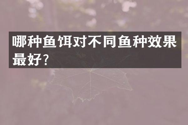 哪种鱼饵对不同鱼种效果最好？