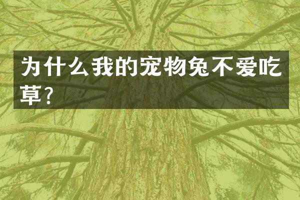 为什么我的宠物兔不爱吃草？