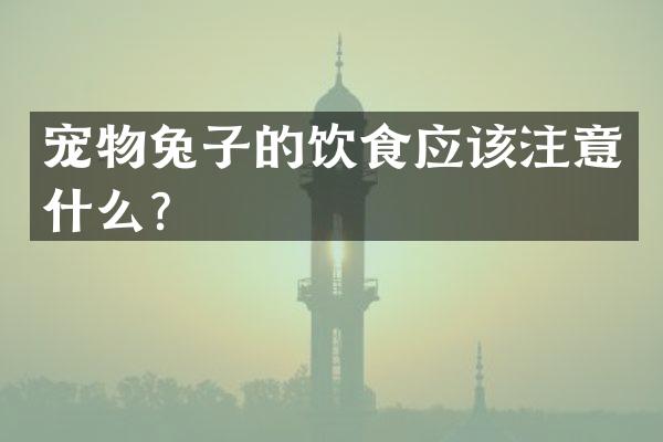 宠物兔子的饮食应该注意什么？