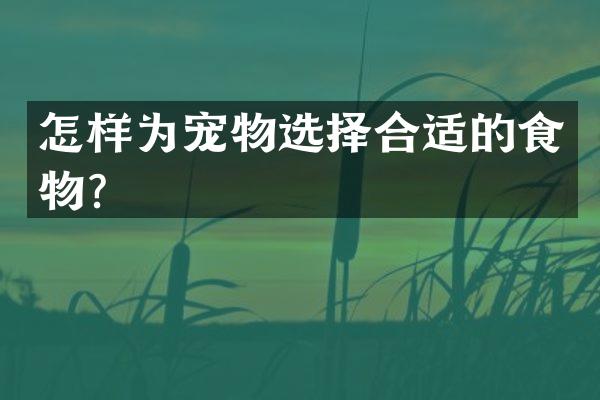 怎样为宠物选择合适的食物？