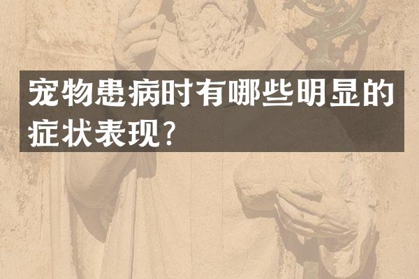 宠物患病时有哪些明显的症状表现？