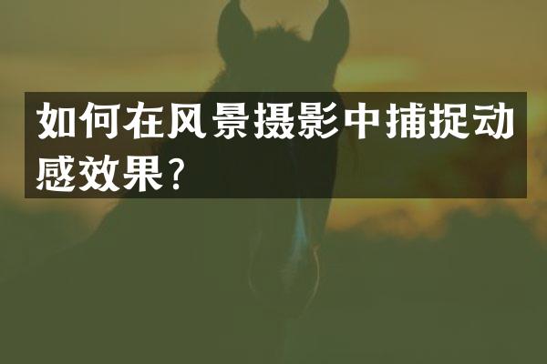 如何在风景摄影中捕捉动感效果？