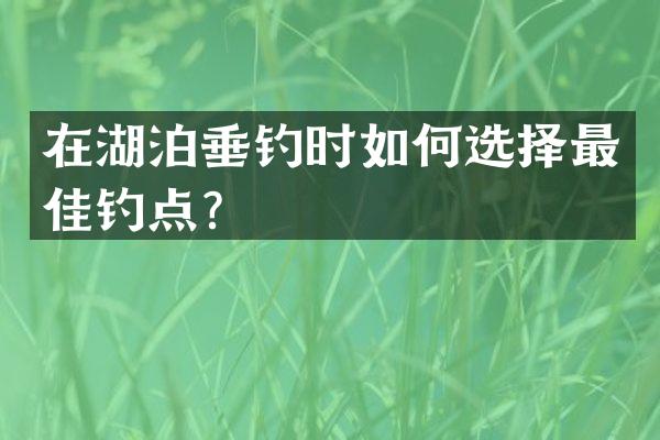 在湖泊垂钓时如何选择最佳钓点？