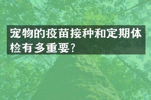 宠物的疫苗接种和定期体检有多重要？