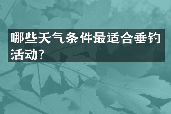 哪些天气条件最适合垂钓活动？